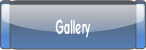 Gallery.